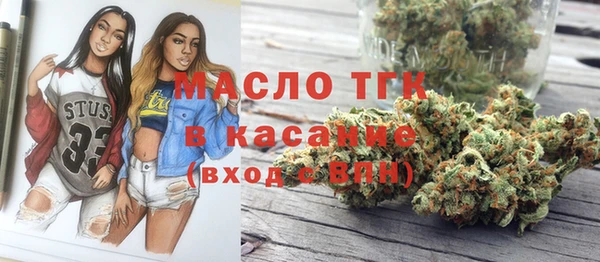 индика Баксан