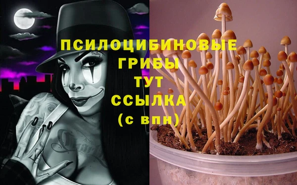 а пвп мука Зерноград