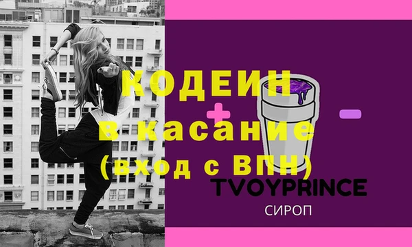 индика Баксан