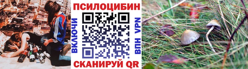 Галлюциногенные грибы GOLDEN TEACHER  купить наркотик  Кимры 